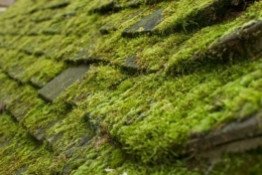 Основы правильного ухода за кровлей из битумной черепицы Катепал